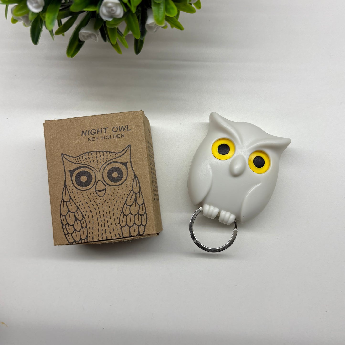 Owl Key Holder