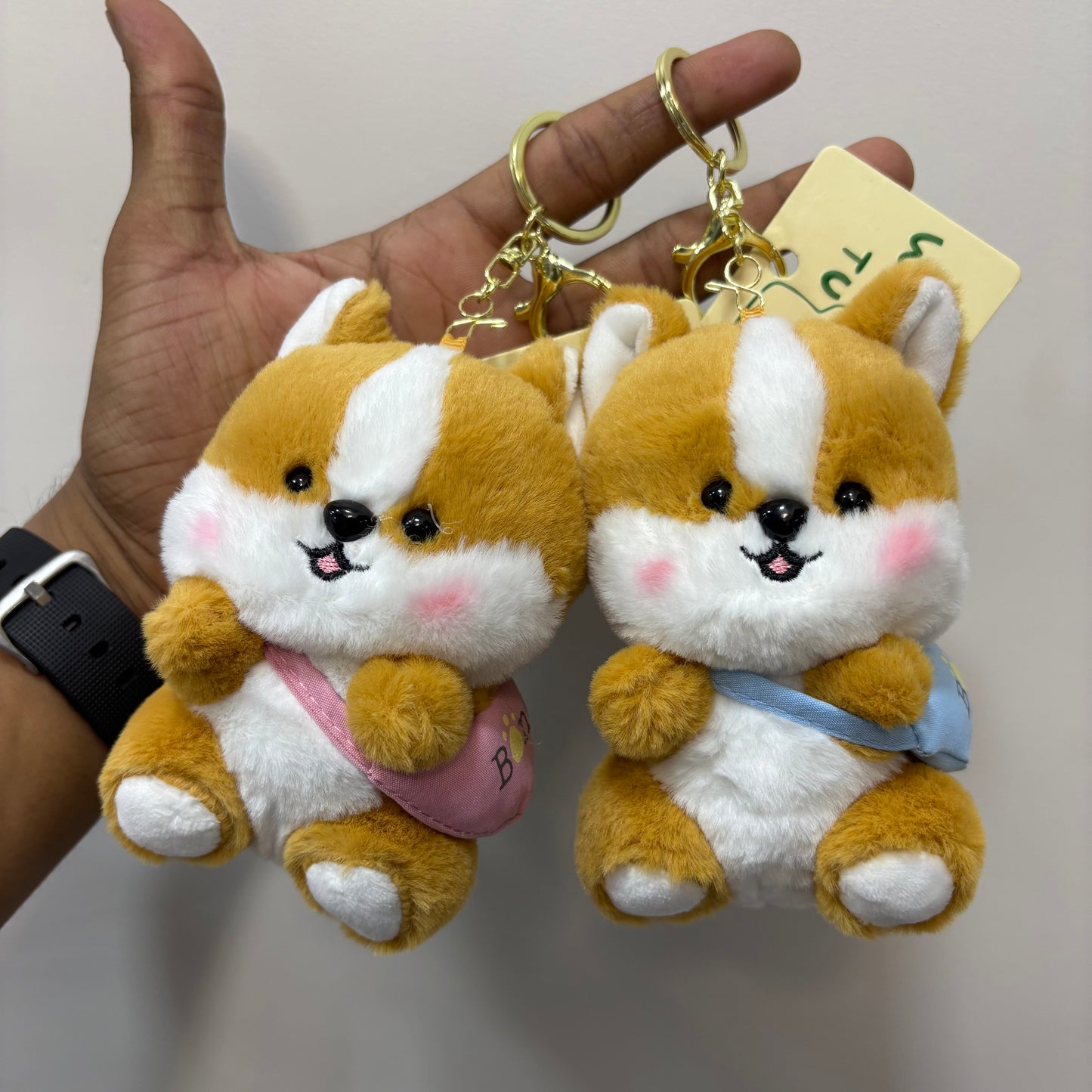 Cute Dog With Bag | Plushie Keychain
