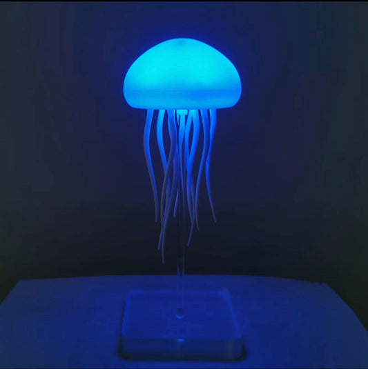 Jelly fish lamp