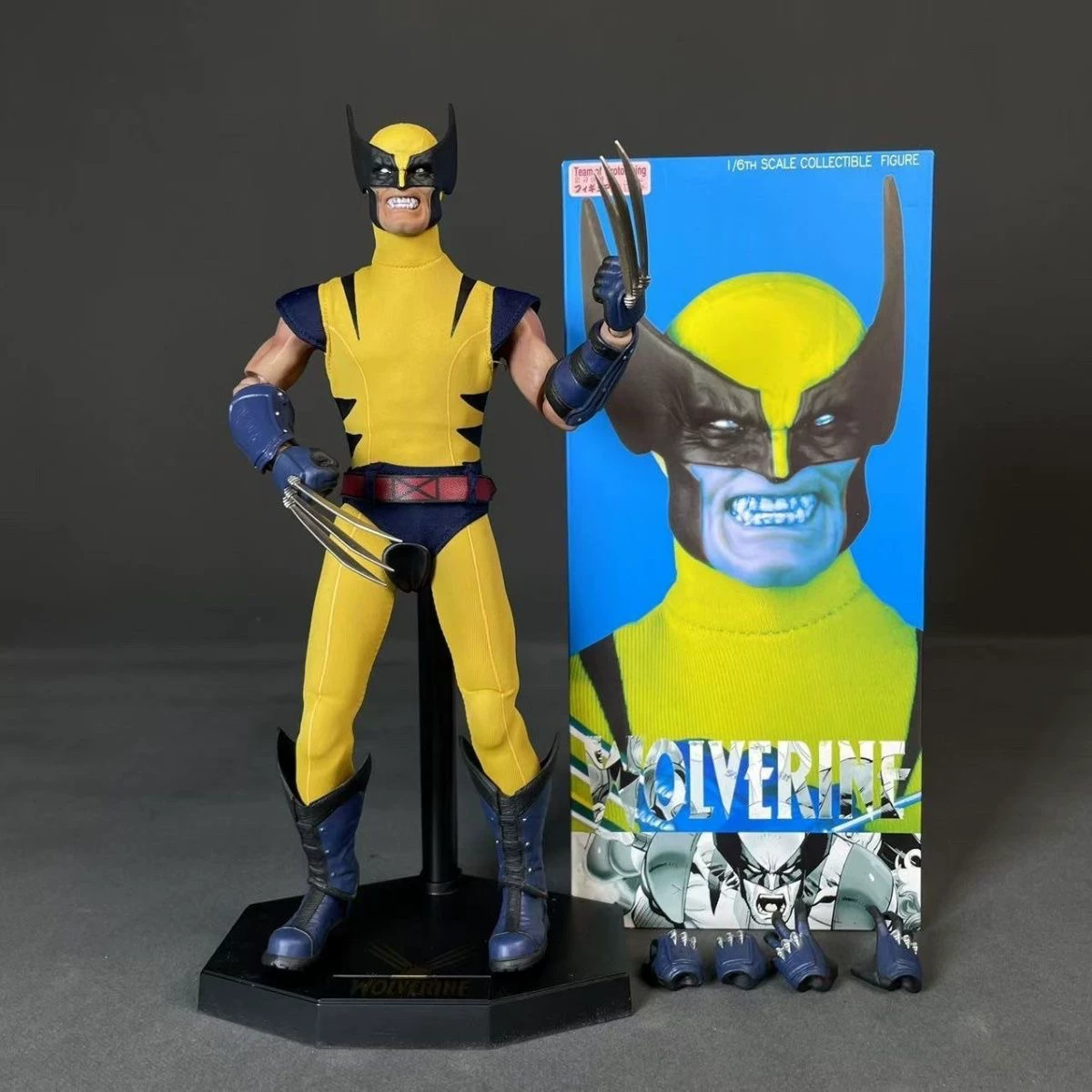 Wolverine | 1/6th scale | 30cm