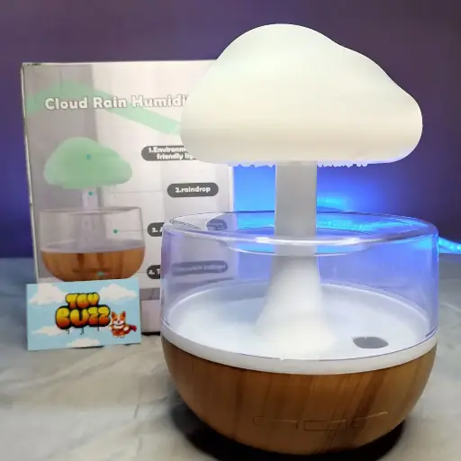 CLOUD RAIN HUMIDIFIER